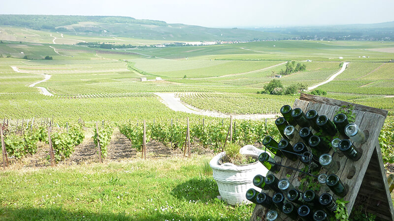 Genussreise Champagne und Burgund