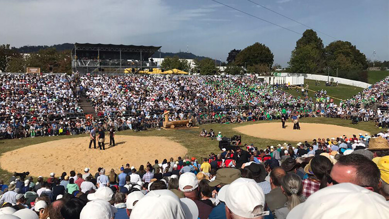 Oberländisches Schwingfest