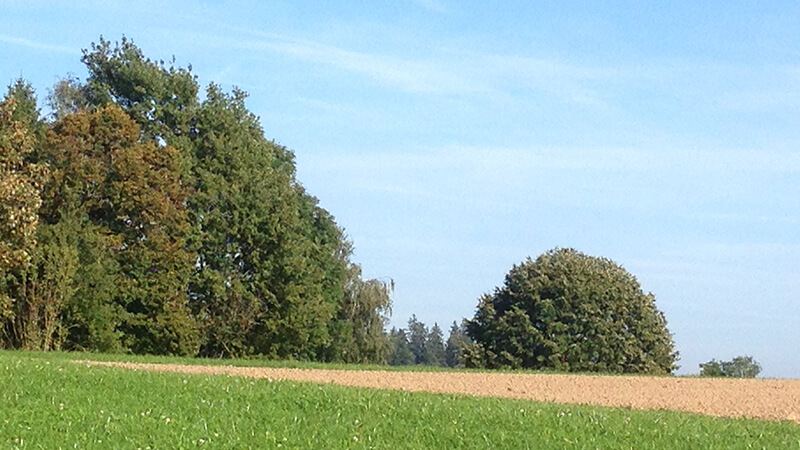 Nachmittagsfahrten